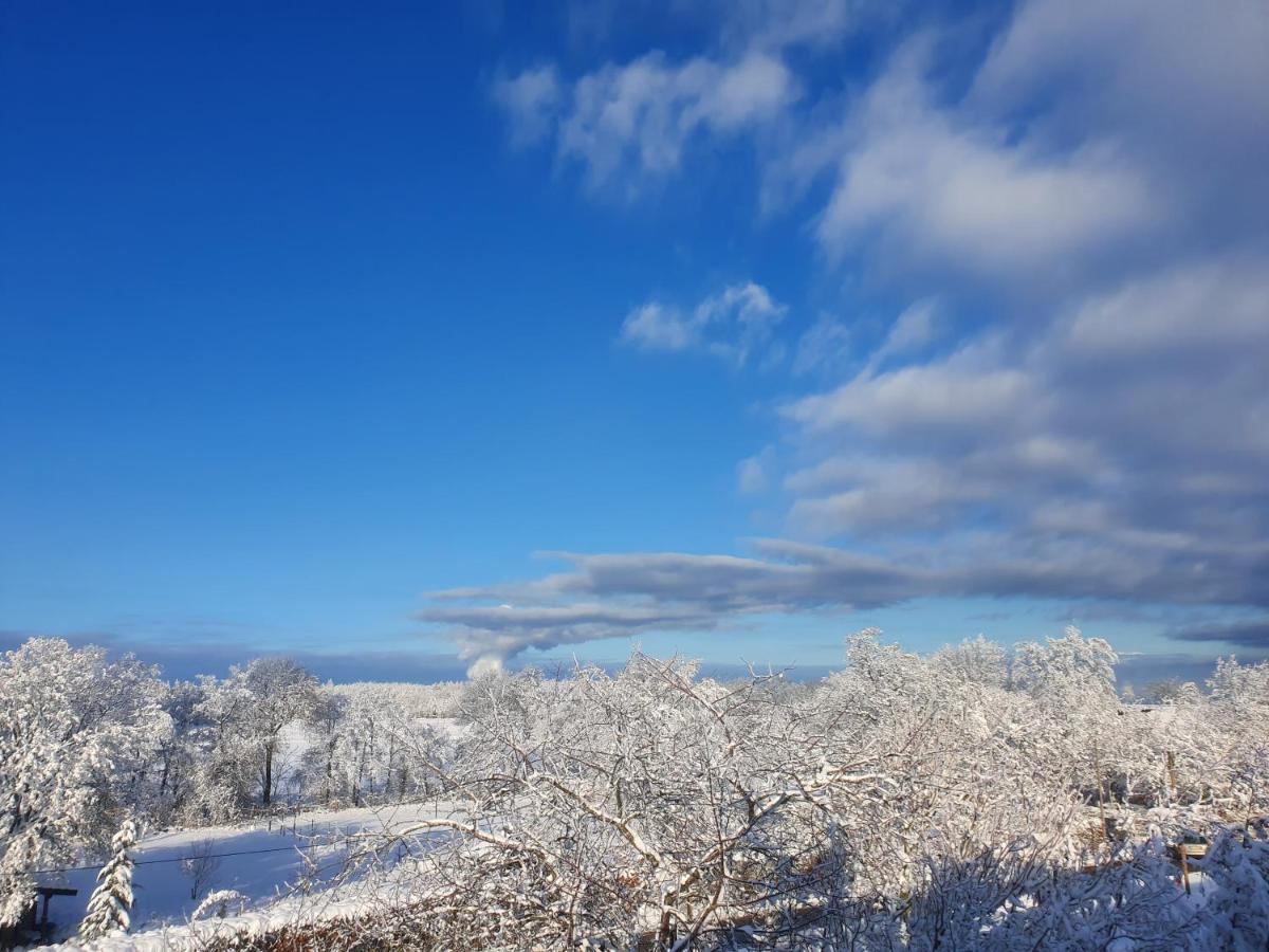 Energetischer Urlaub In Der Eifel Germeter Exteriér fotografie